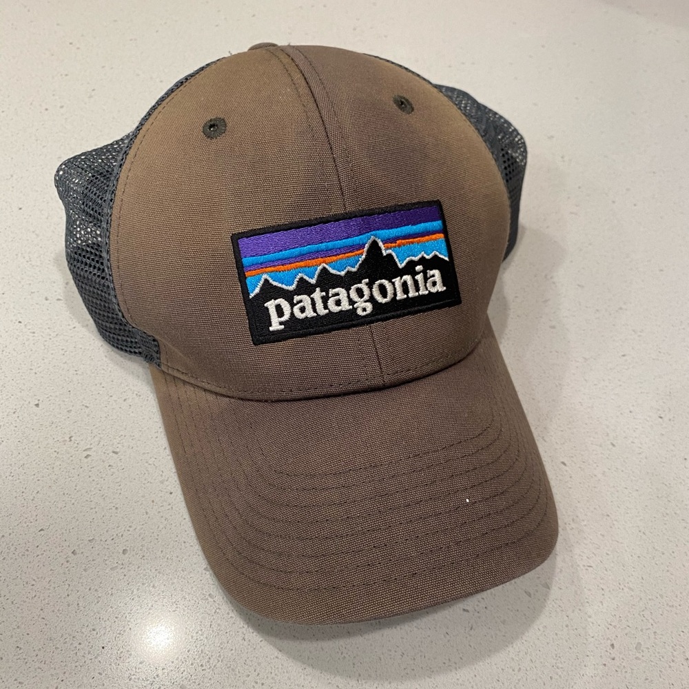 Patagonia gray trucker hat